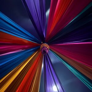 Meet your Posher, Sophia